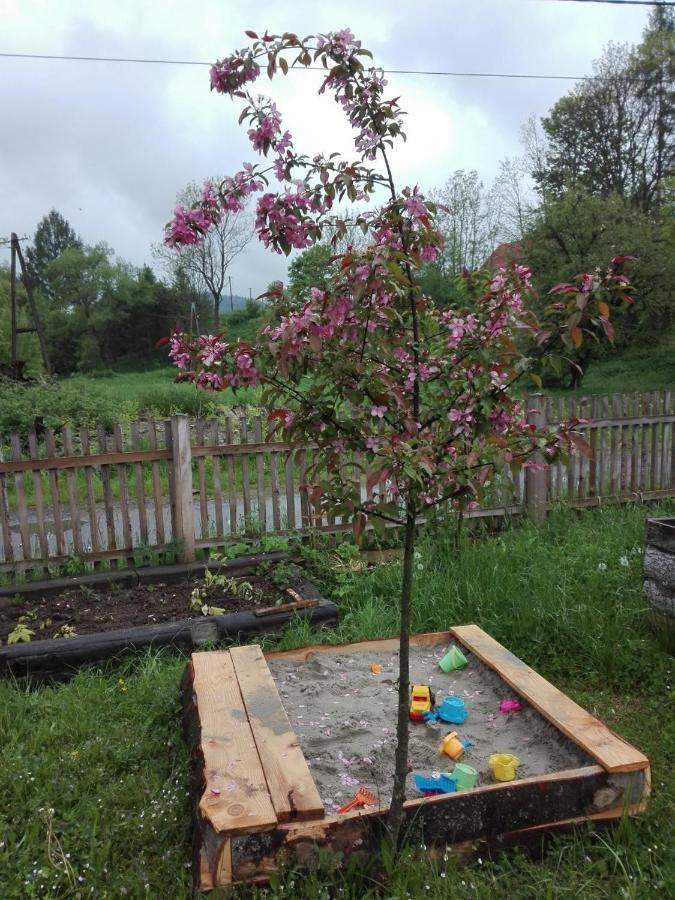 Pod Bieszczadem Villa Jasliska Dış mekan fotoğraf